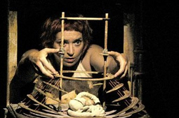 la Nébuleuse du crabe